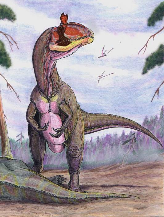 cryolophosaurusdb.jpg