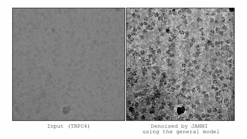 results_denoising_trpc4.jpg